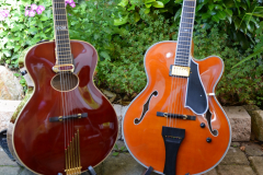 Archtop Affairs